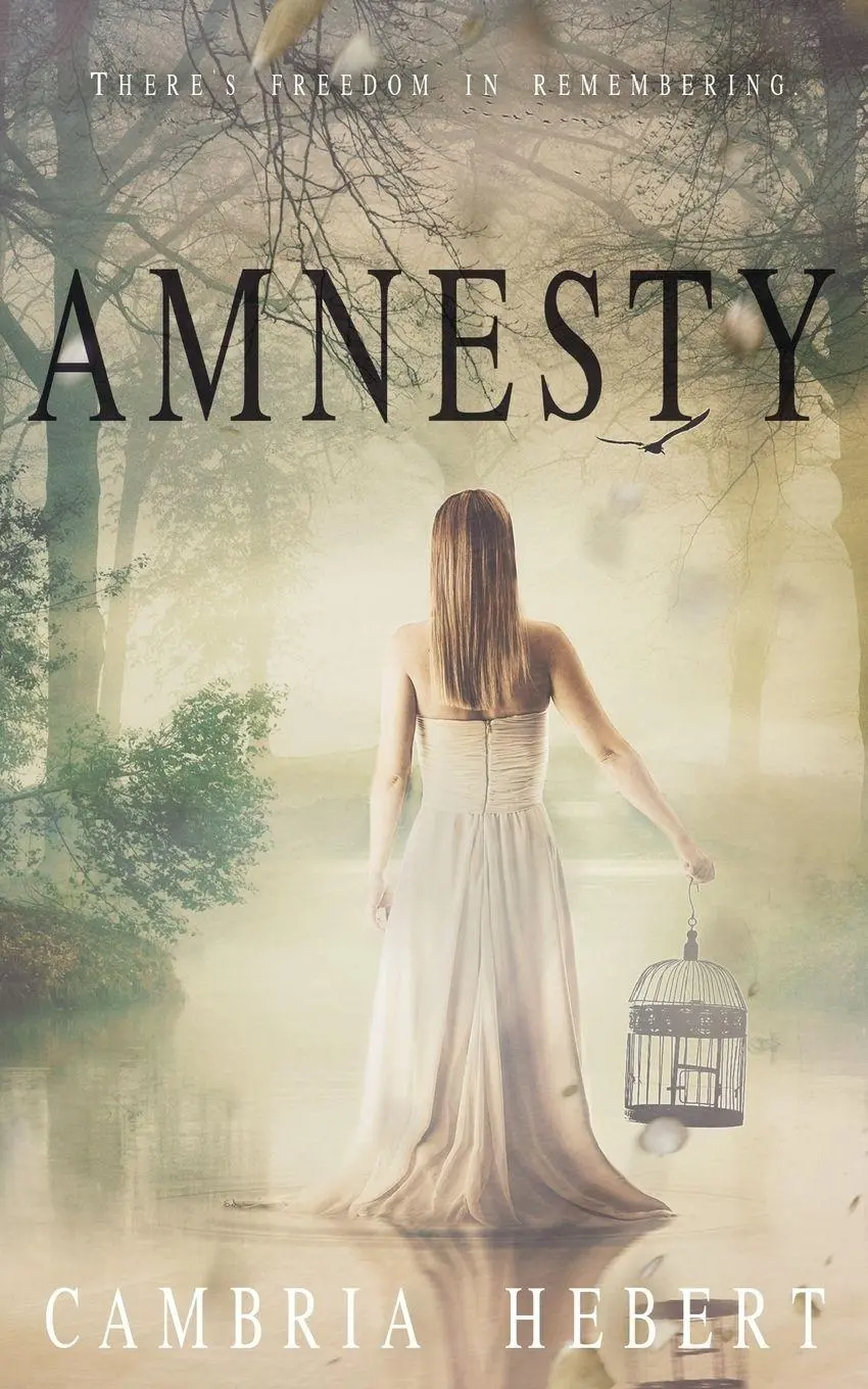 Cover: 9781946836069 | Amnesty | Amnesia duet book 2 | Cambria Hebert | Taschenbuch | 2017