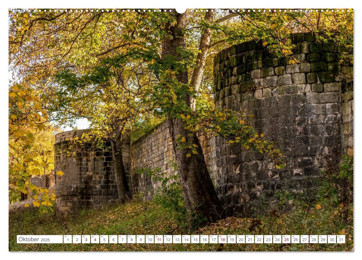 Bild: 9783457886069 | Halberstadt 2026 (Wandkalender 2026 DIN A2 quer), CALVENDO...