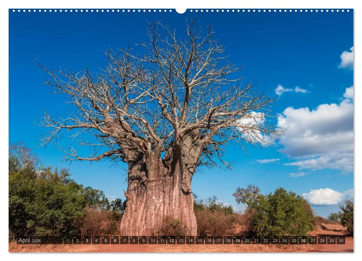Bild: 9783516116069 | Südafrika - Die Landschaft (hochwertiger Premium Wandkalender 2026...
