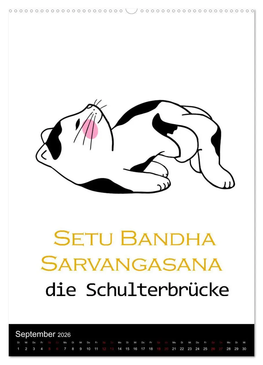 Bild: 9783516356069 | Yogakatzen - ganz entspannt im Hier und Jetzt (hochwertiger Premium...