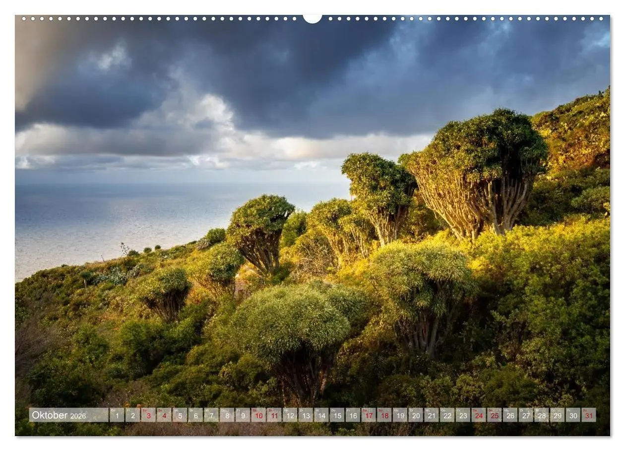 Bild: 9783516736069 | Kanarisch Wild - La Palma (Wandkalender 2026 DIN A2 quer), CALVENDO...