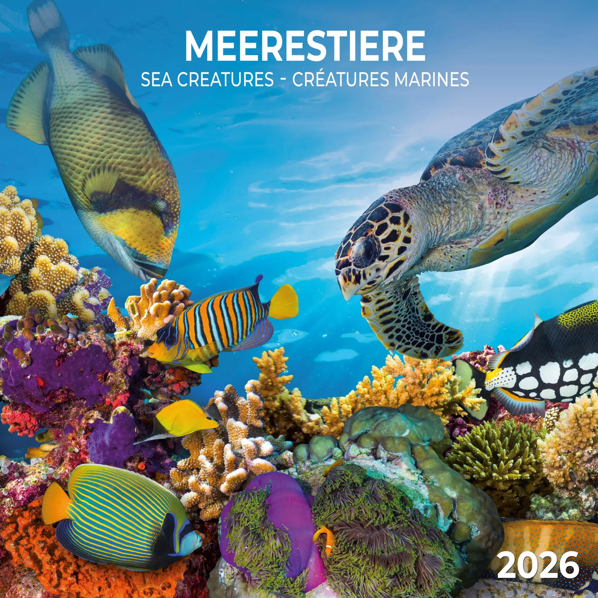 Cover: 9783959296069 | Meerestiere 2026 | Kalender 2026 | Kalender | 28 S. | Englisch | 2026