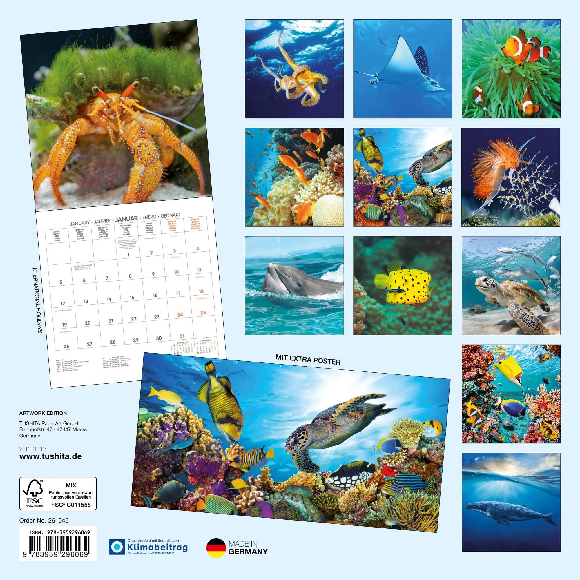 Rückseite: 9783959296069 | Meerestiere 2026 | Kalender 2026 | Kalender | 28 S. | Englisch | 2026