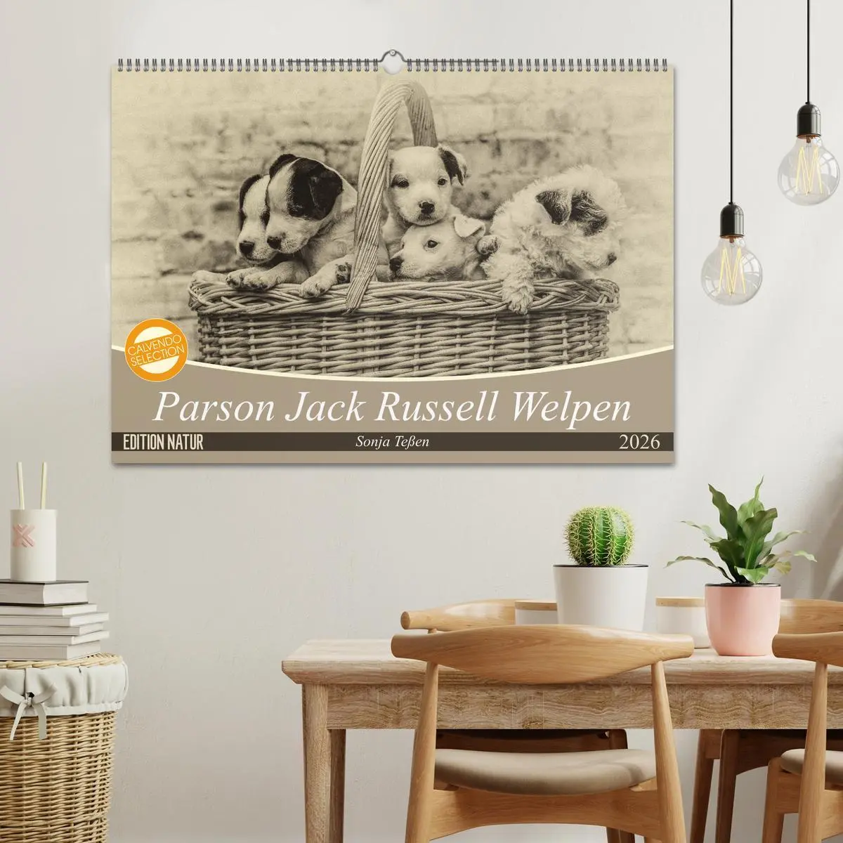 Bild: 9783457876169 | Parson Jack Russel Welpen (Wandkalender 2026 DIN A2 quer), CALVENDO...