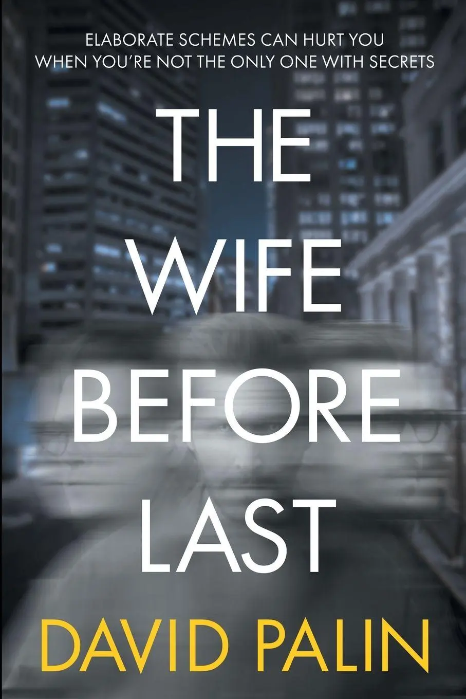 Cover: 9781837916269 | The Wife Before Last | David Palin | Taschenbuch | Englisch | 2024