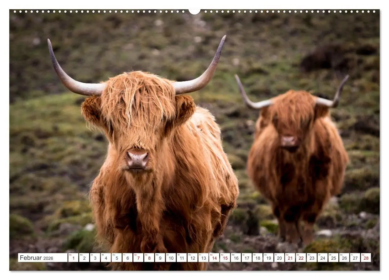 Bild: 9783457626269 | Isle of Skye - Eine Reise durch den Nordwesten Schottlands...