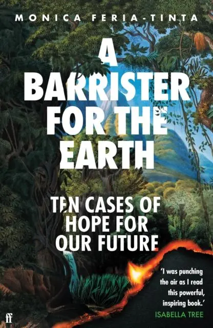 Cover: 9780571386369 | A Barrister for the Earth | Ten Cases of Hope for Our Future | Buch
