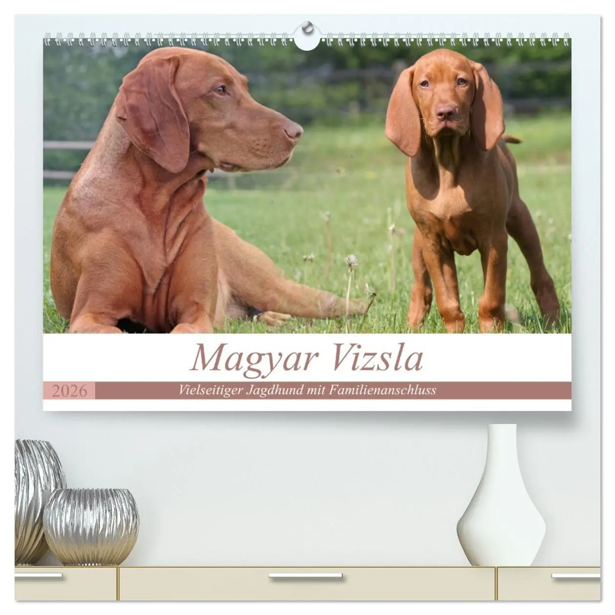 Cover: 9783516186369 | Magyar Vizsla - Vielseitiger Jagdhund mit Familienanschluss...