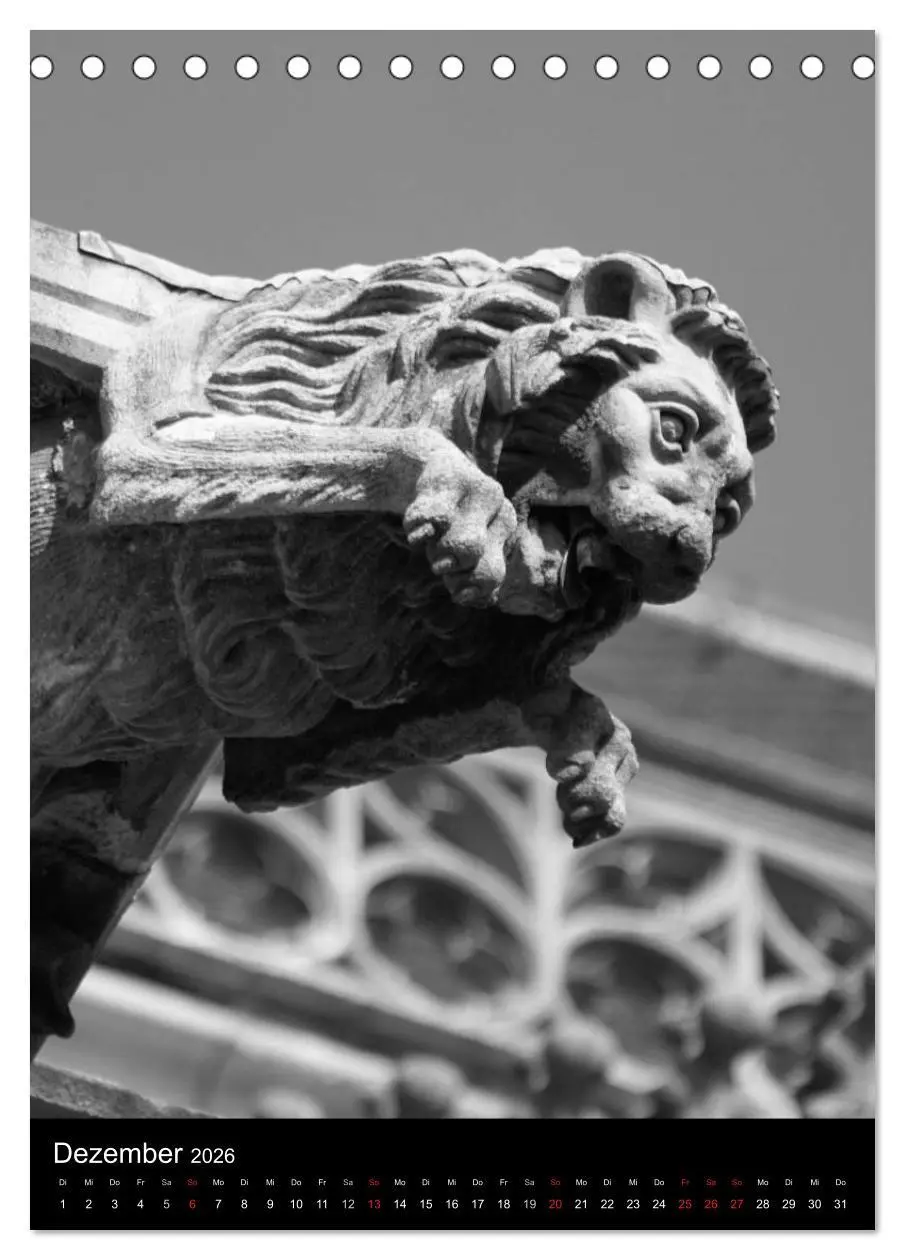 Bild: 9783516486469 | Wasserspeier am Ulmer Münster (Tischkalender 2026 DIN A5 hoch),...