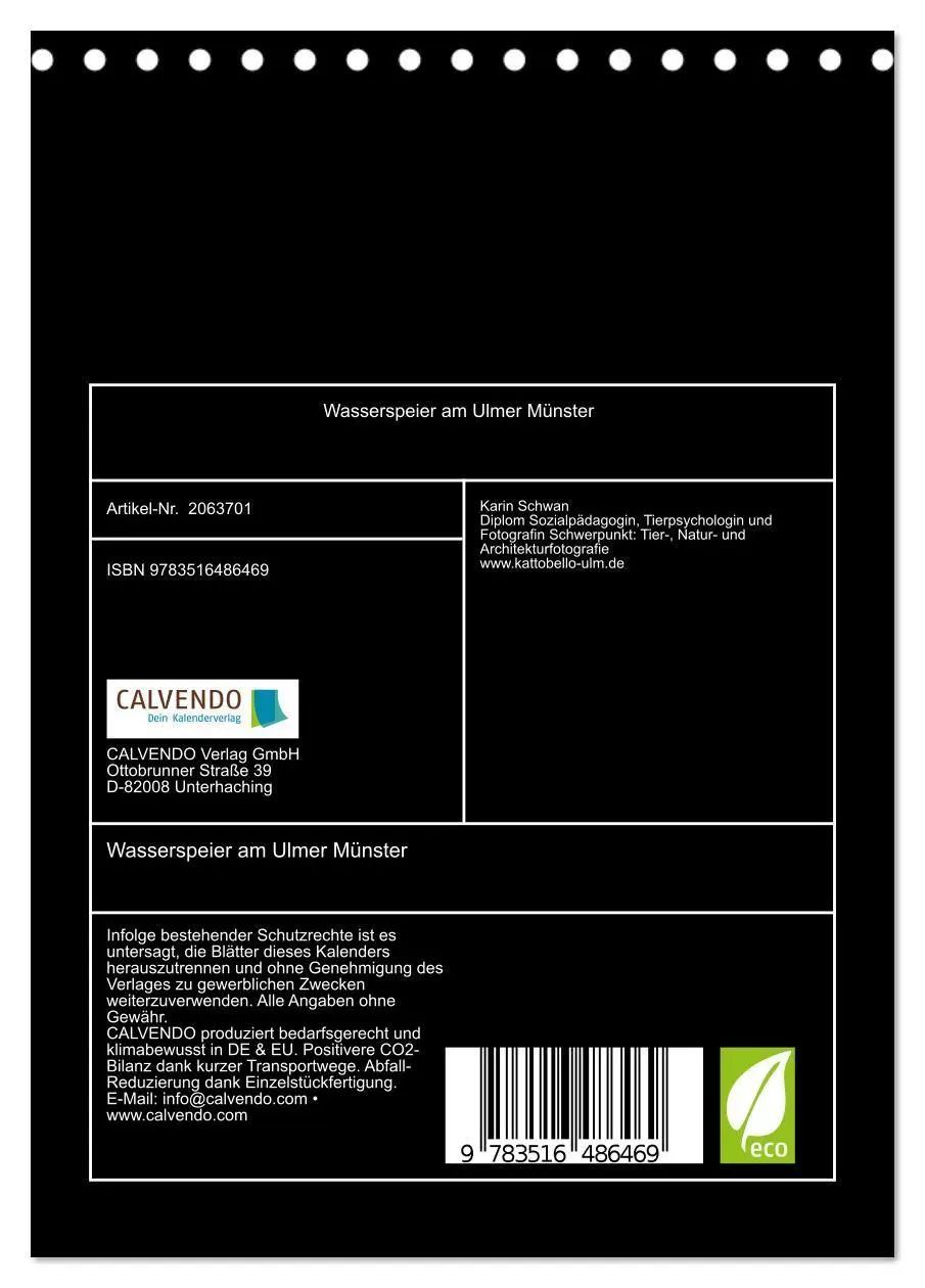 Bild: 9783516486469 | Wasserspeier am Ulmer Münster (Tischkalender 2026 DIN A5 hoch),...