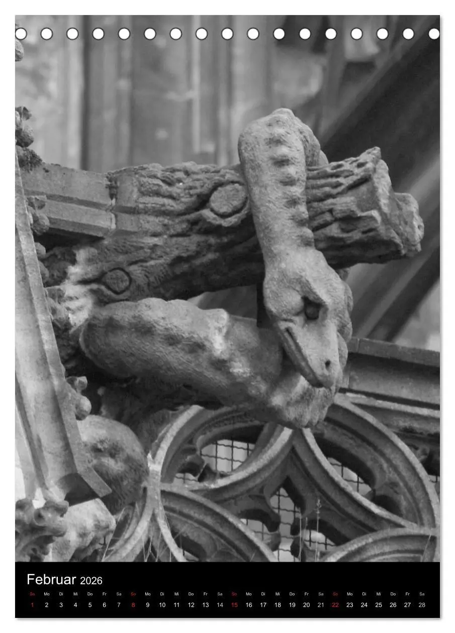 Bild: 9783516486469 | Wasserspeier am Ulmer Münster (Tischkalender 2026 DIN A5 hoch),...