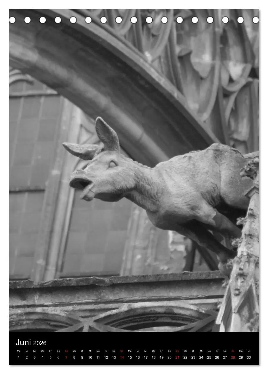 Bild: 9783516486469 | Wasserspeier am Ulmer Münster (Tischkalender 2026 DIN A5 hoch),...