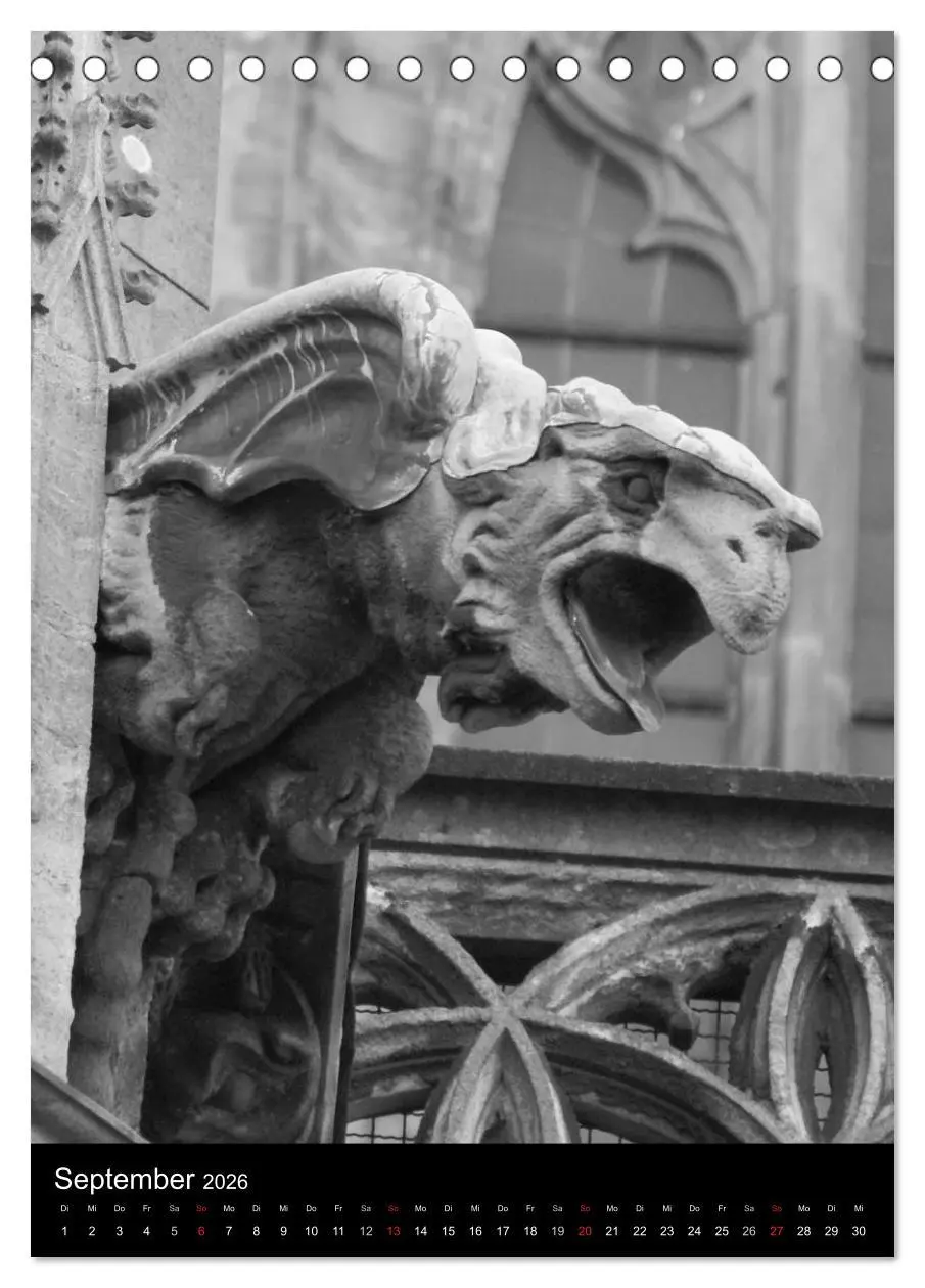 Bild: 9783516486469 | Wasserspeier am Ulmer Münster (Tischkalender 2026 DIN A5 hoch),...