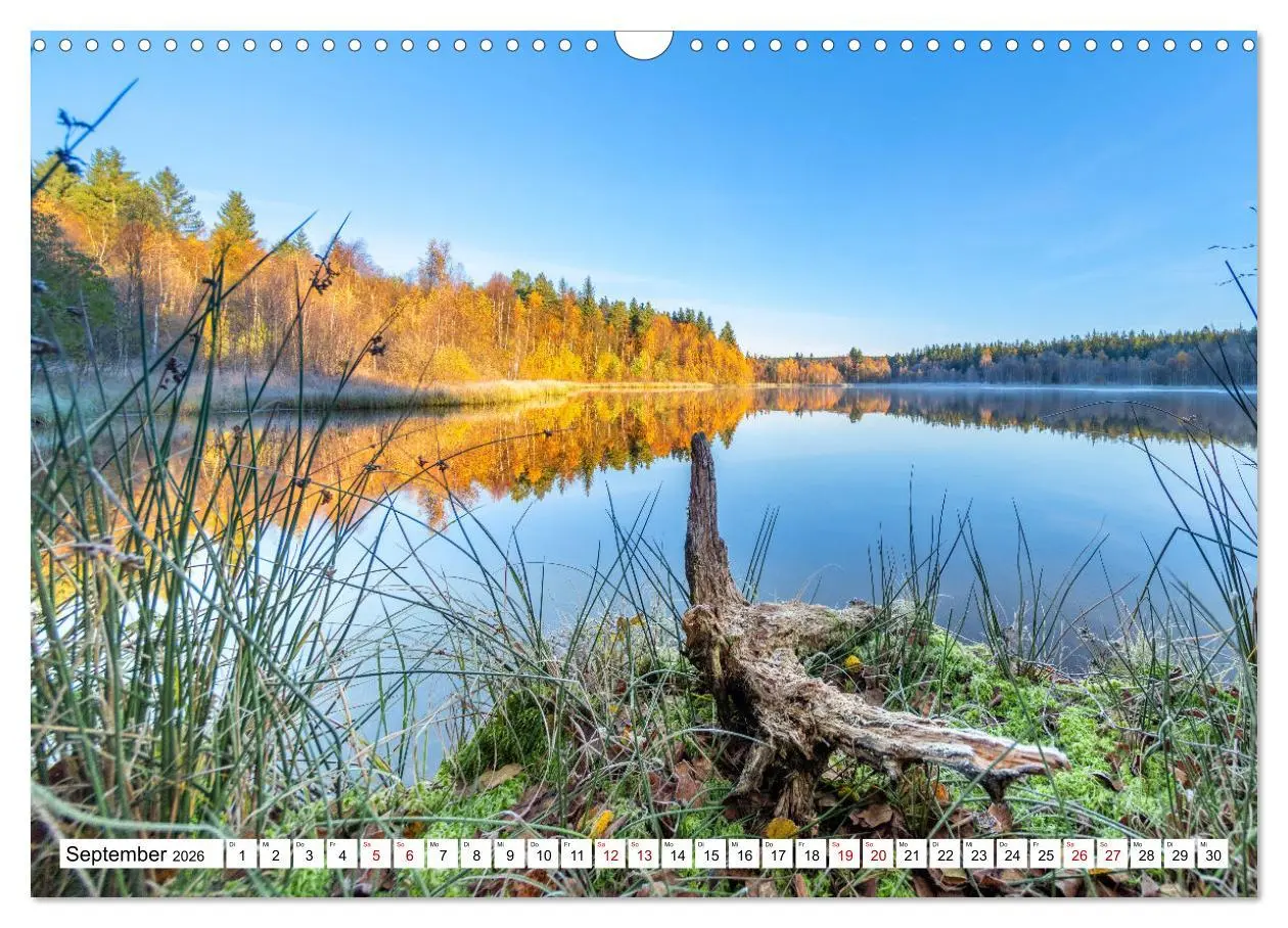 Bild: 9783457526569 | Schönes Erzgebirge (Wandkalender 2026 DIN A3 quer), CALVENDO...