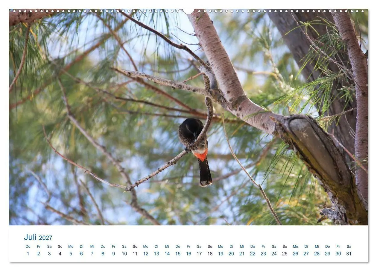 Bild: 9783569946569 | Südsee-Insel Mo'orea (hochwertiger Premium Wandkalender 2027 DIN A2...