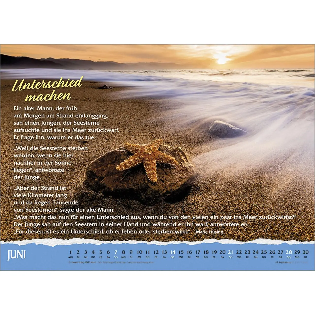 Bild: 9783754836569 | Über das Leben 2026 | Wand-Kalender mit Geschichten | Kalender | 14 S.