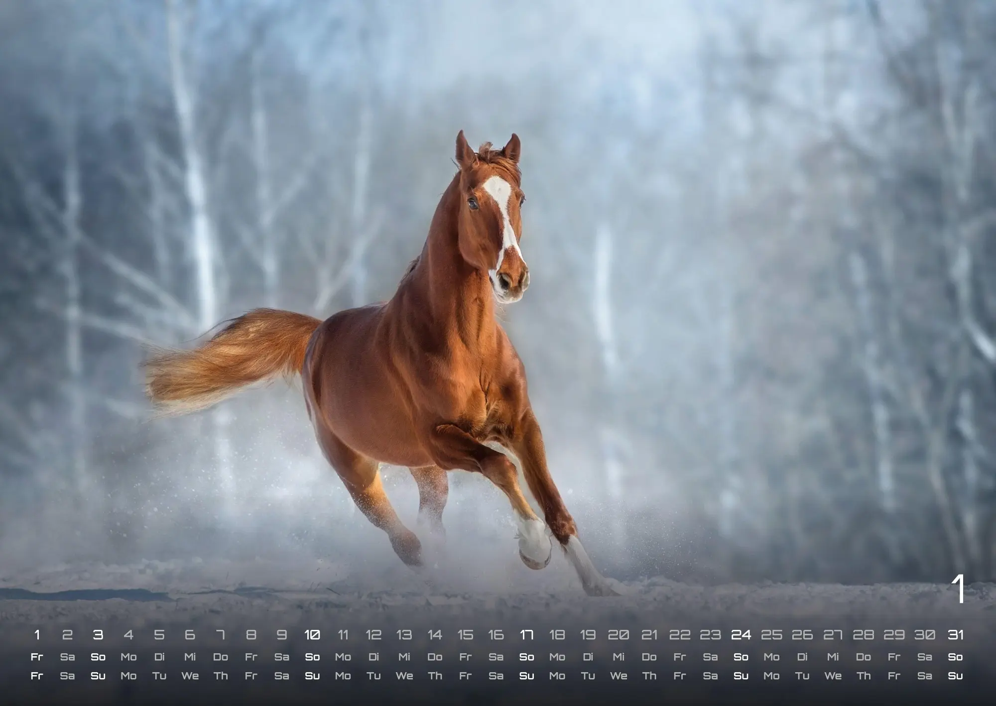 Bild: 9783986736569 | Pferdegeflüster - Der Pferdekalender - 2027 - Kalender DIN A2 | de