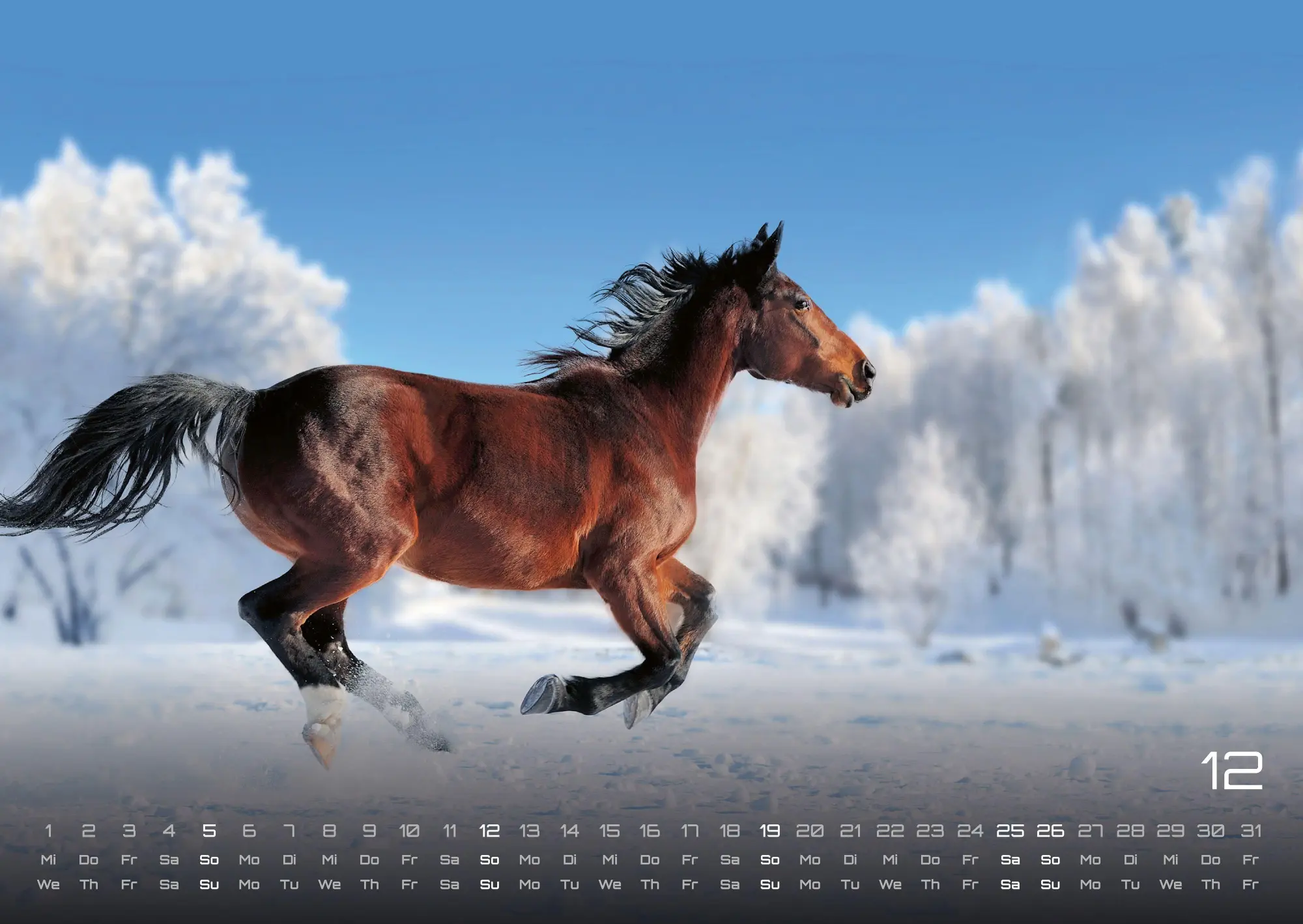 Bild: 9783986736569 | Pferdegeflüster - Der Pferdekalender - 2027 - Kalender DIN A2 | de