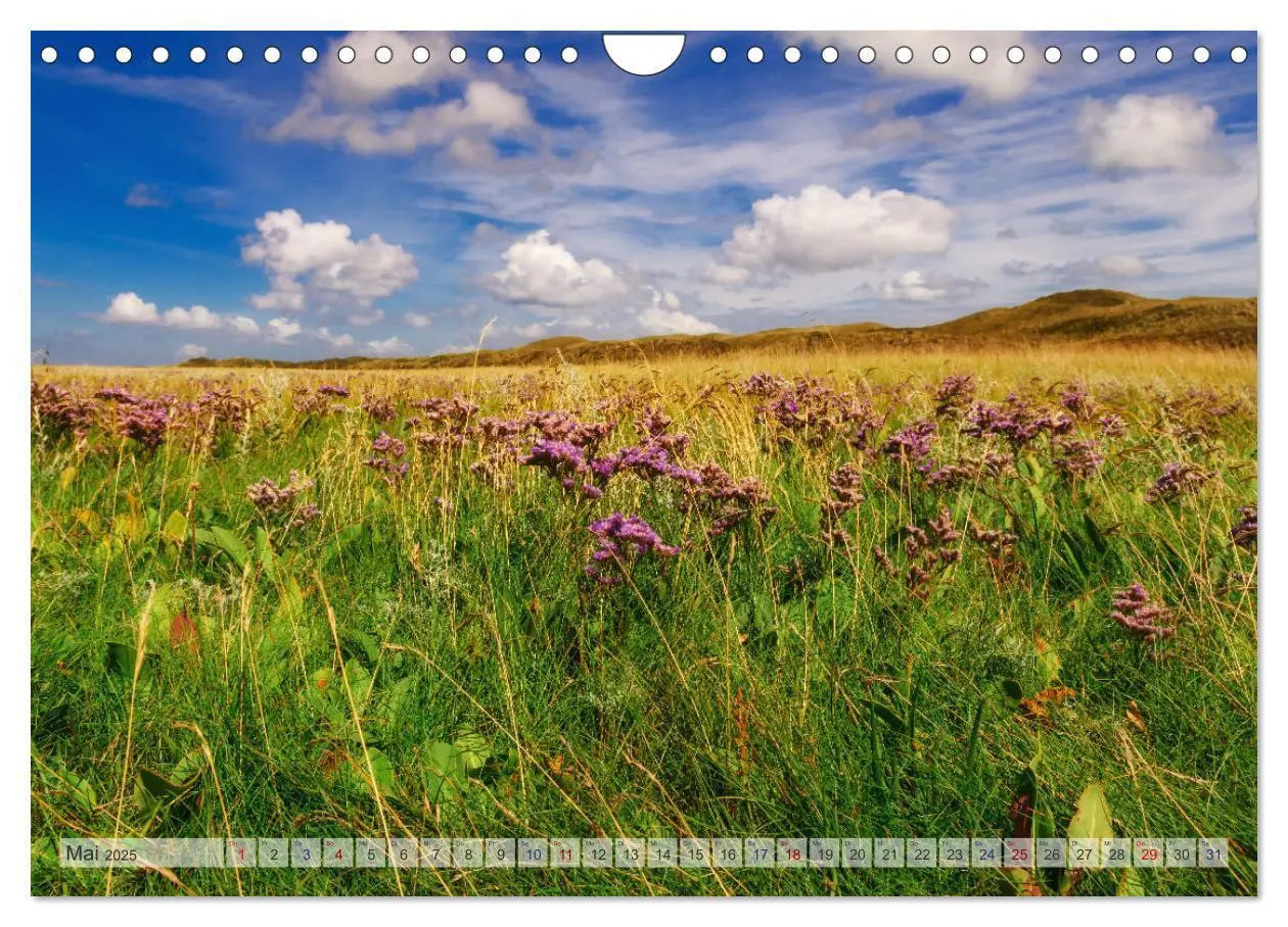 Bild: 9783435106769 | Texel - Kleine Insel, große Vielfalt (Wandkalender 2025 DIN A4...