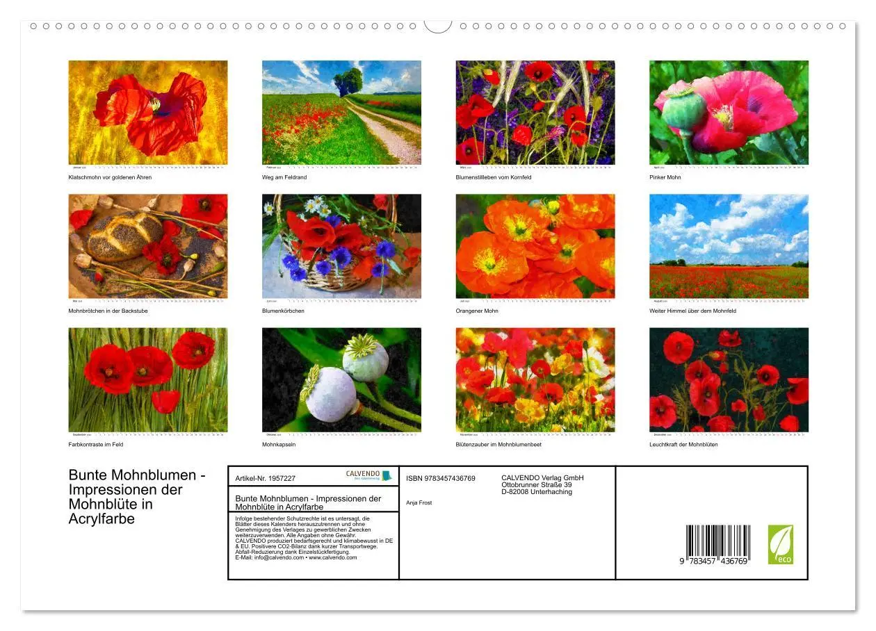 Bild: 9783457436769 | Bunte Mohnblumen - Impressionen der Mohnblüte in Acrylfarbe...