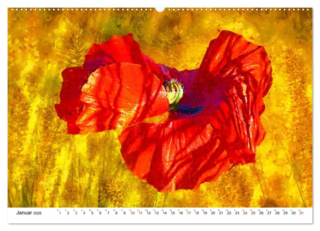 Bild: 9783457436769 | Bunte Mohnblumen - Impressionen der Mohnblüte in Acrylfarbe...
