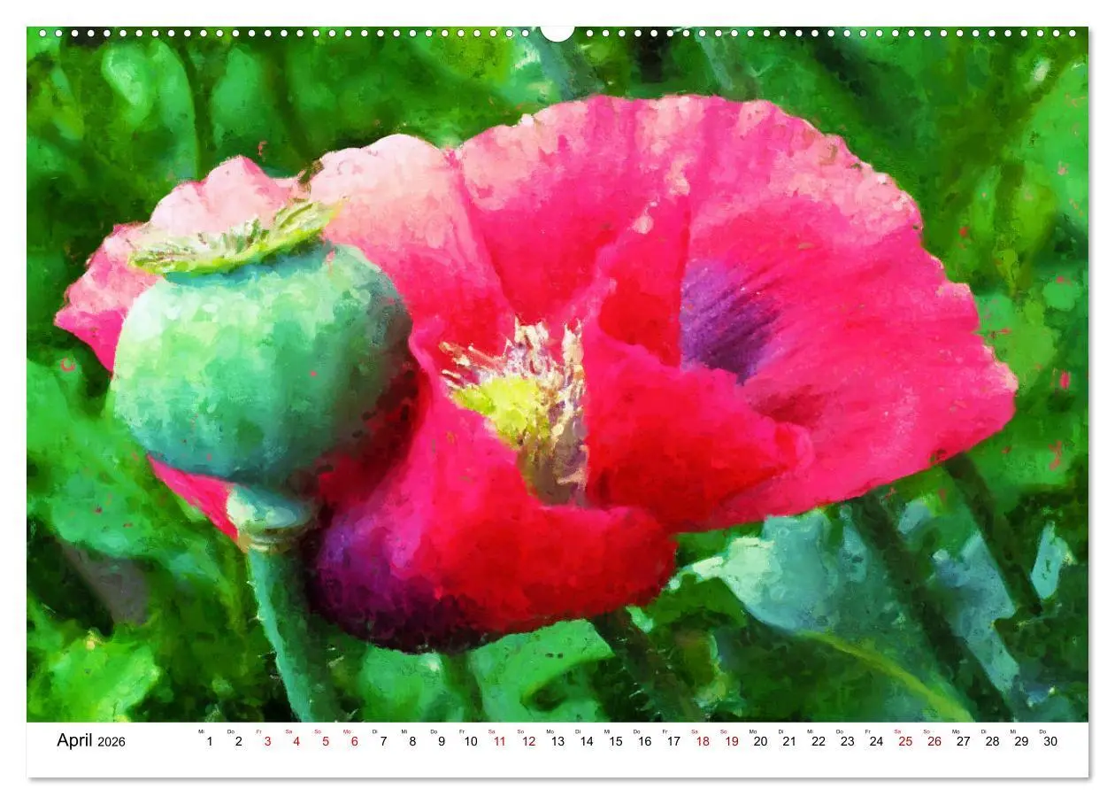 Bild: 9783457436769 | Bunte Mohnblumen - Impressionen der Mohnblüte in Acrylfarbe...