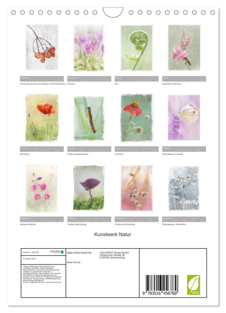 Bild: 9783516456769 | Kunstwerk Natur (Wandkalender 2026 DIN A4 hoch), CALVENDO...