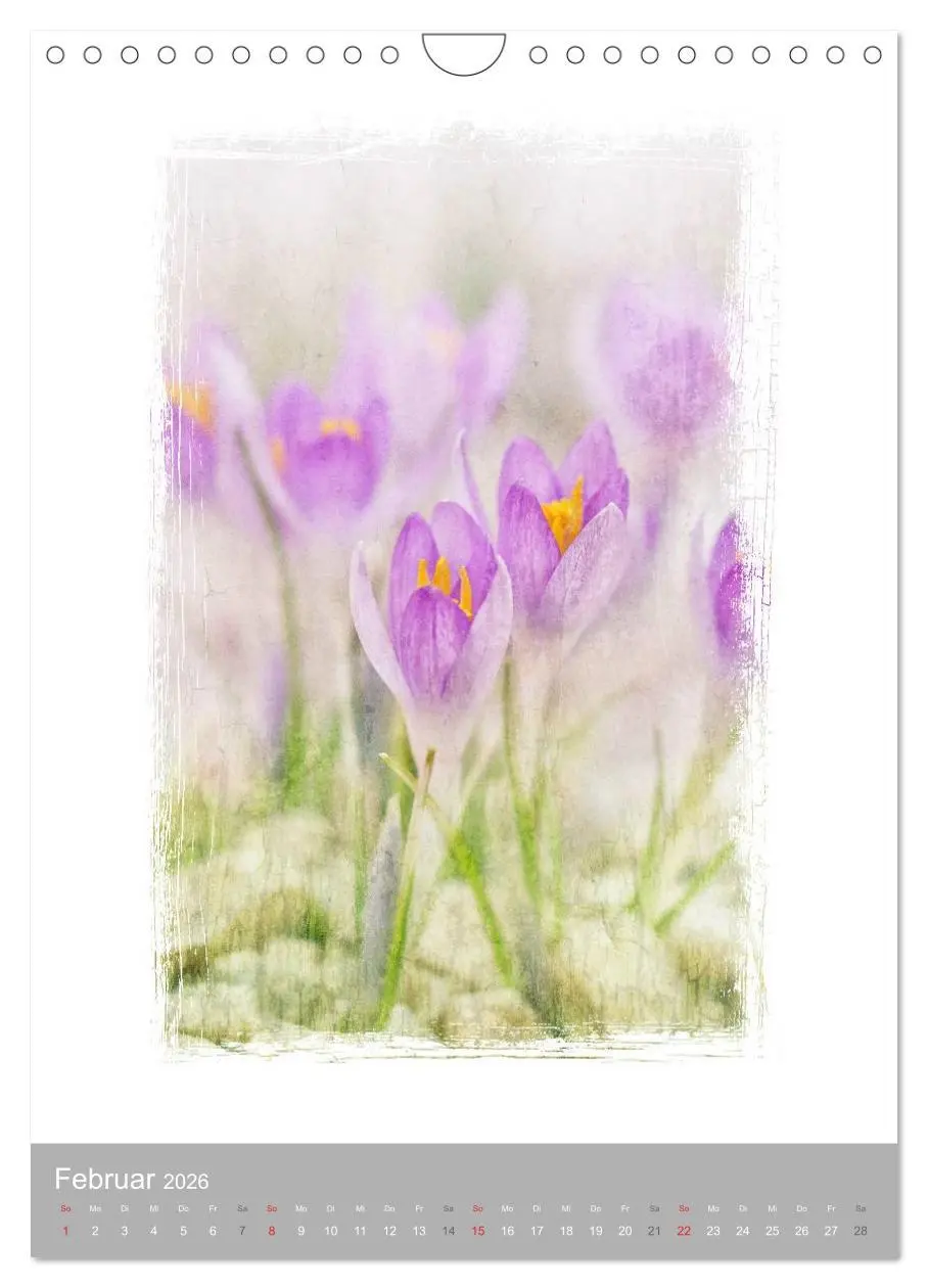 Bild: 9783516456769 | Kunstwerk Natur (Wandkalender 2026 DIN A4 hoch), CALVENDO...