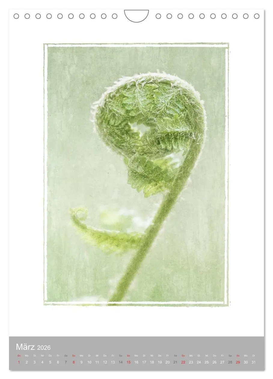 Bild: 9783516456769 | Kunstwerk Natur (Wandkalender 2026 DIN A4 hoch), CALVENDO...