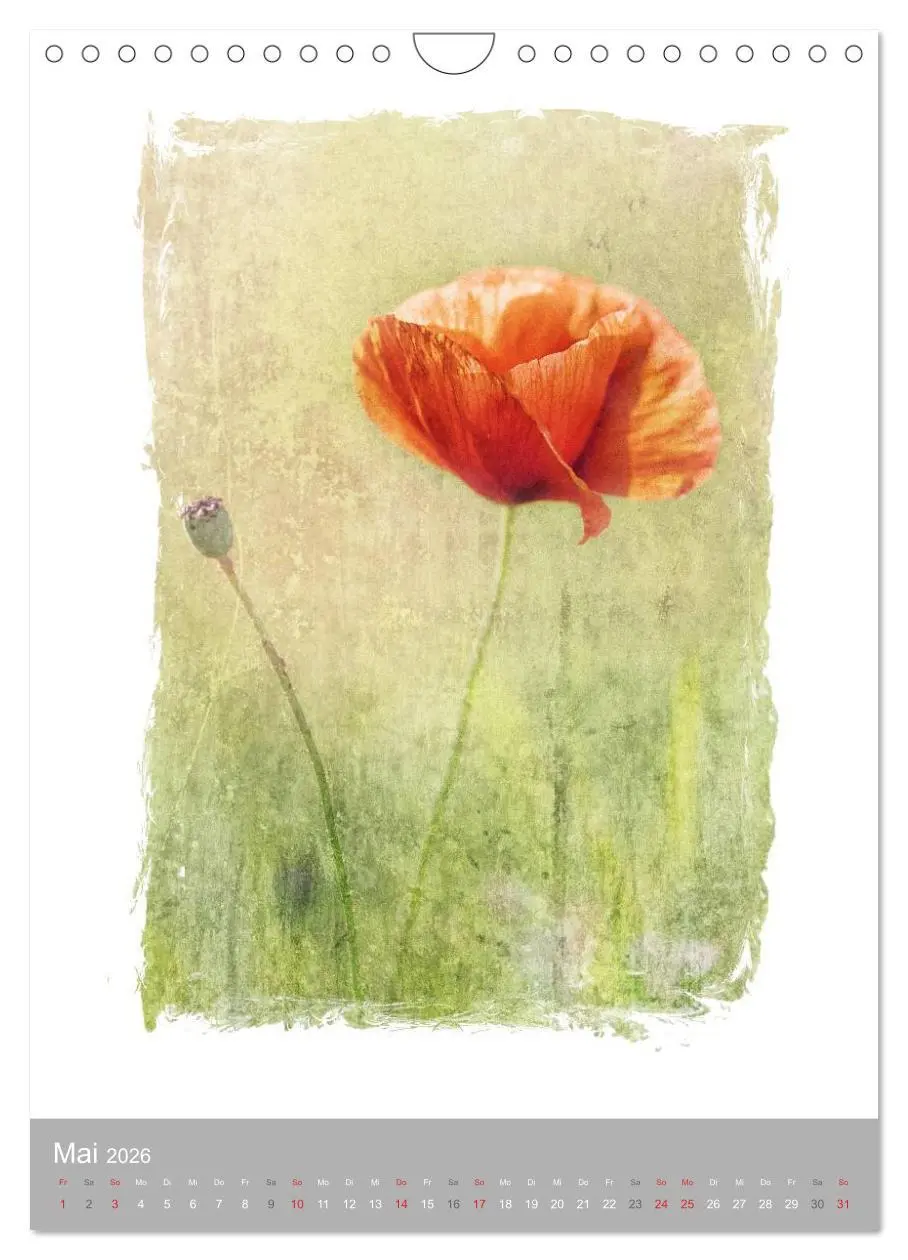 Bild: 9783516456769 | Kunstwerk Natur (Wandkalender 2026 DIN A4 hoch), CALVENDO...