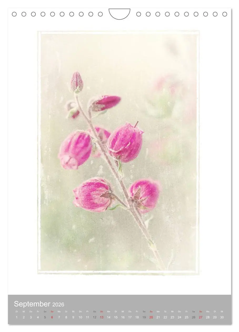 Bild: 9783516456769 | Kunstwerk Natur (Wandkalender 2026 DIN A4 hoch), CALVENDO...