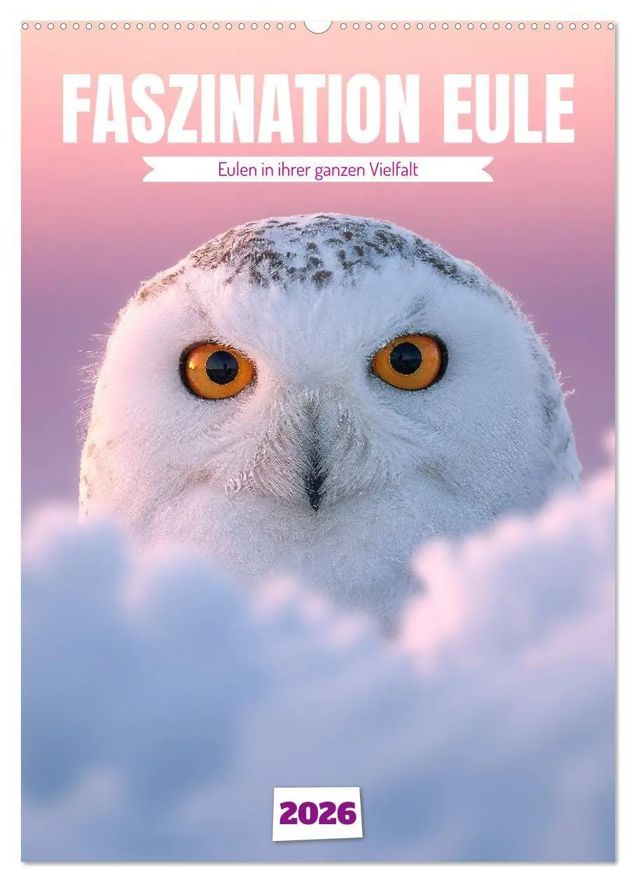 Cover: 9783516696769 | Faszination Eule - Eulen in ihrer ganzen Vielfalt (Wandkalender...