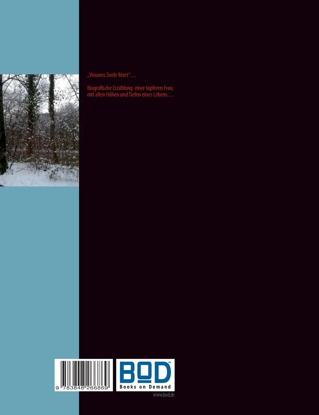 Rückseite: 9783848266869 | Eine Seele friert... | Angelique V. | Taschenbuch | 412 S. | Deutsch