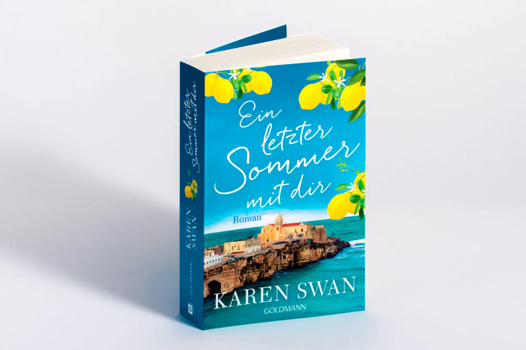 Bild: 9783442496969 | Ein letzter Sommer mit dir | Karen Swan | Taschenbuch | 560 S. | 2026