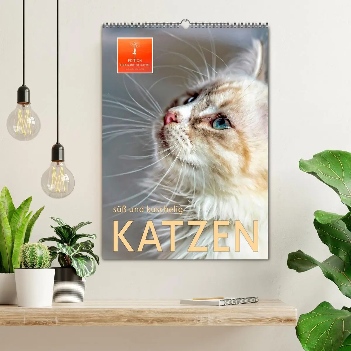Bild: 9783516366969 | Katzen - süß und kuschelig (Wandkalender 2026 DIN A2 hoch),...