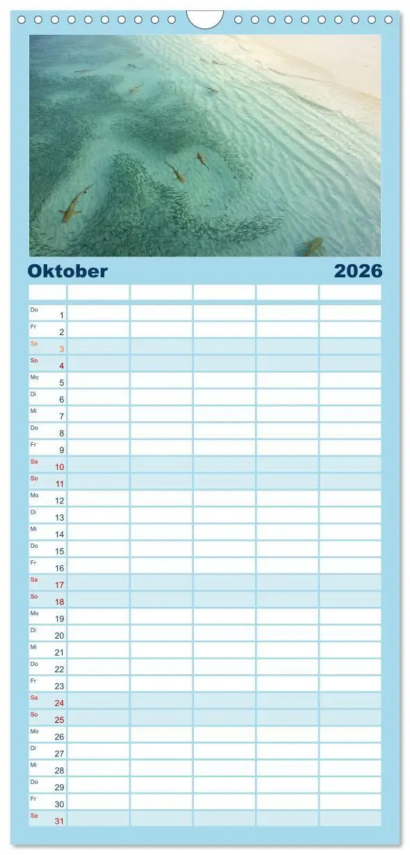 Bild: 9783516506969 | Familienplaner 2026 - Haie - Könige der Meere. mit 5 Spalten...
