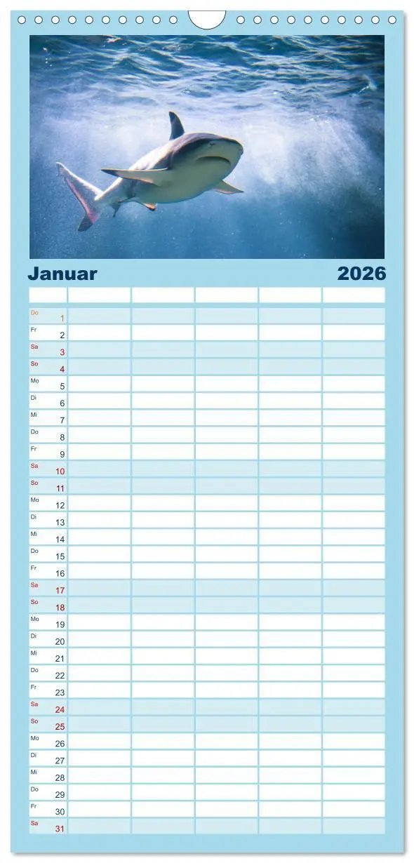 Bild: 9783516506969 | Familienplaner 2026 - Haie - Könige der Meere. mit 5 Spalten...