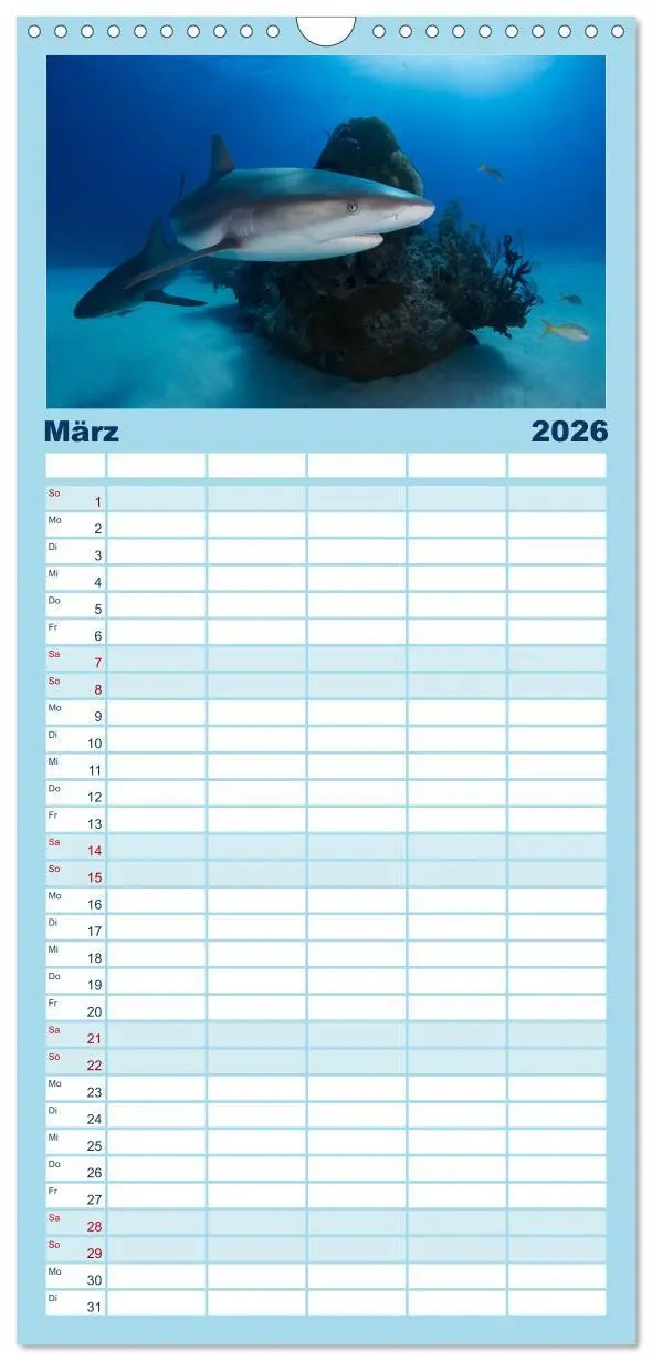 Bild: 9783516506969 | Familienplaner 2026 - Haie - Könige der Meere. mit 5 Spalten...
