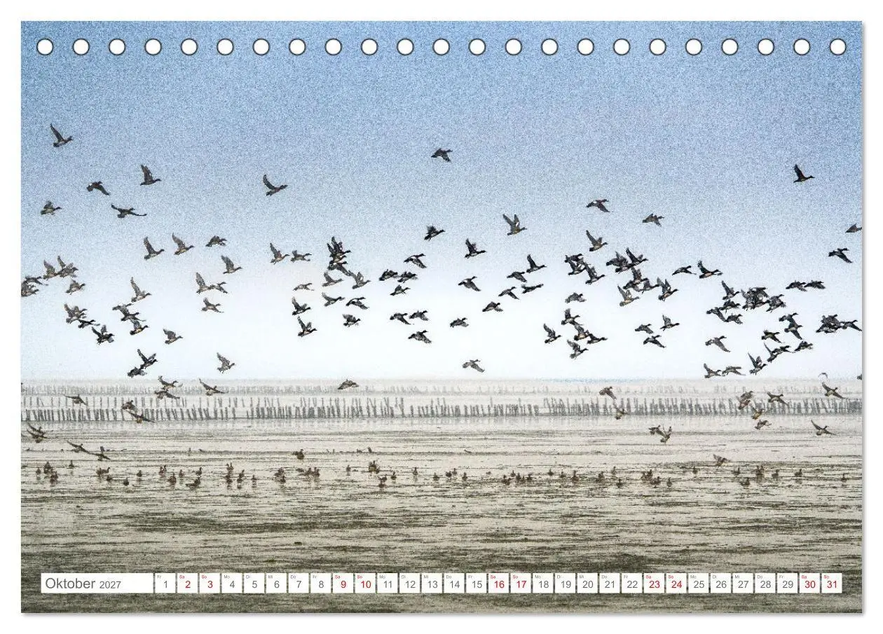 Bild: 9783569216969 | Naturerlebnis Rømø (Tischkalender 2027 DIN A5 quer), CALVENDO...