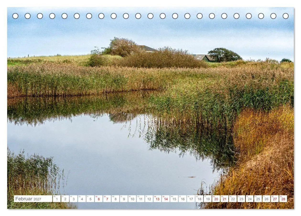 Bild: 9783569216969 | Naturerlebnis Rømø (Tischkalender 2027 DIN A5 quer), CALVENDO...