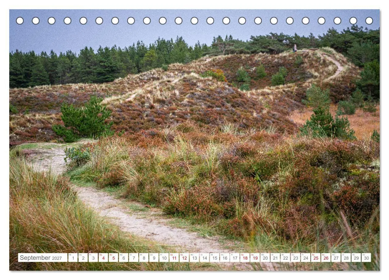 Bild: 9783569216969 | Naturerlebnis Rømø (Tischkalender 2027 DIN A5 quer), CALVENDO...