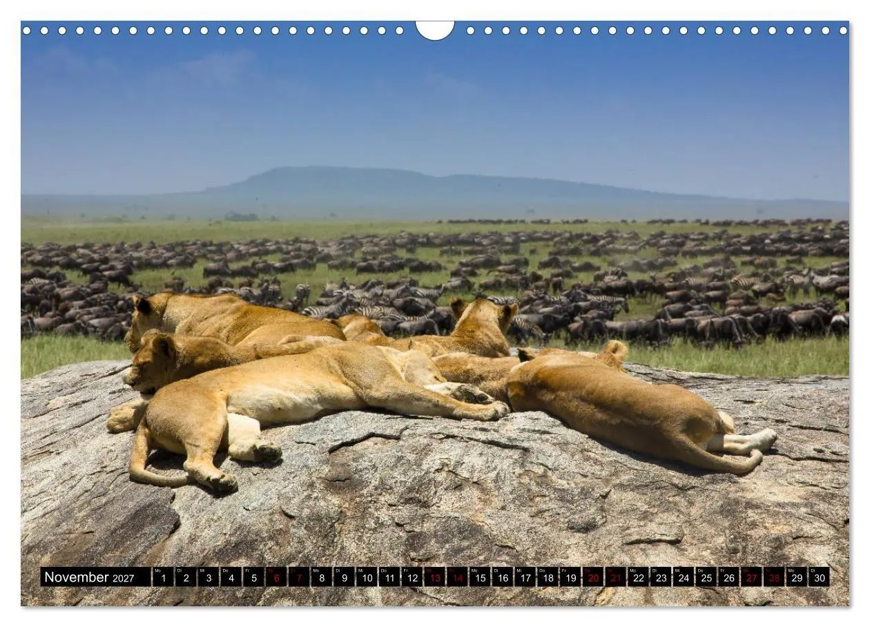 Bild: 9783569766969 | Tansania - Tierwanderung in der Serengeti (Wandkalender 2027 DIN A3...