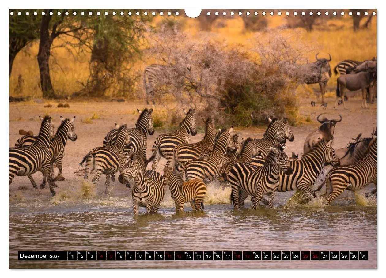Bild: 9783569766969 | Tansania - Tierwanderung in der Serengeti (Wandkalender 2027 DIN A3...