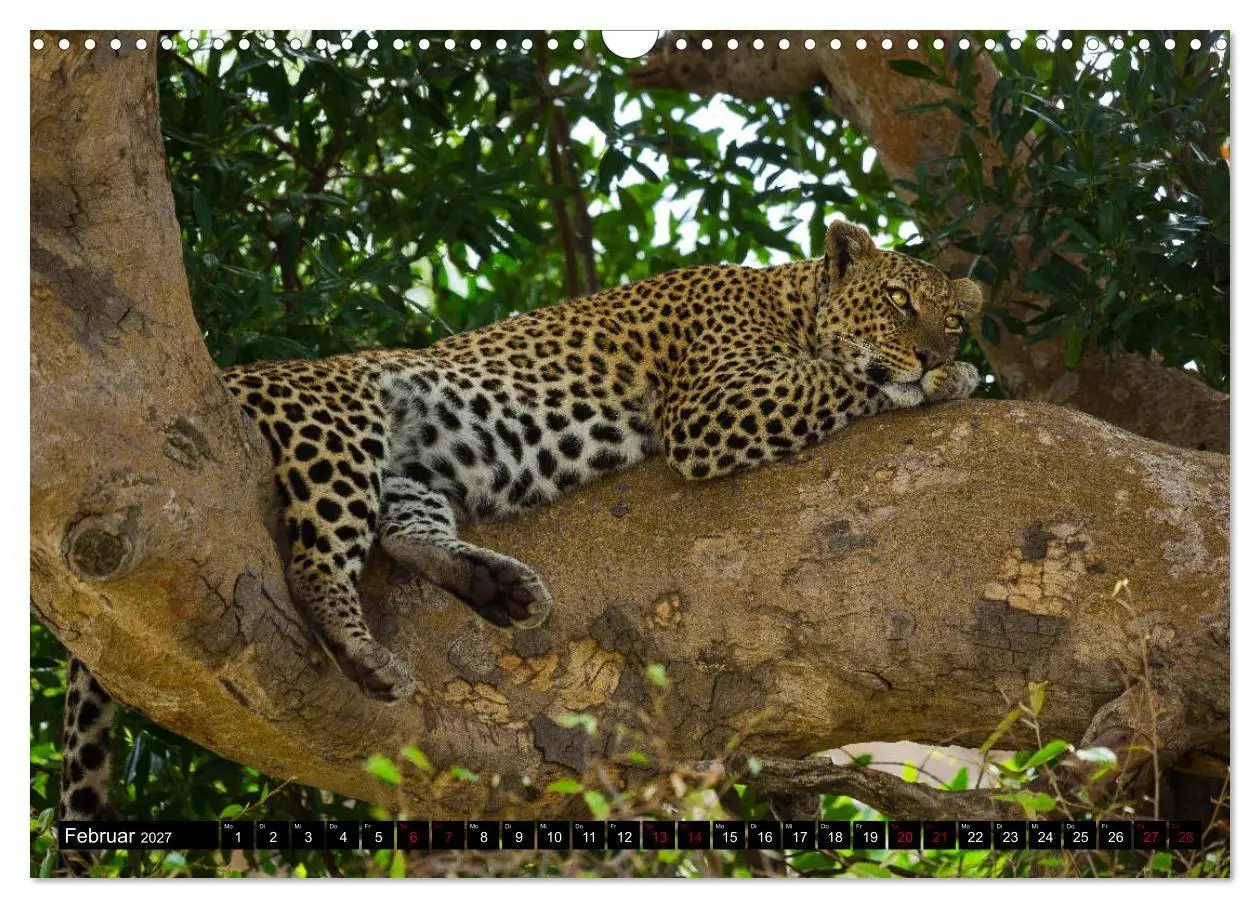 Bild: 9783569766969 | Tansania - Tierwanderung in der Serengeti (Wandkalender 2027 DIN A3...