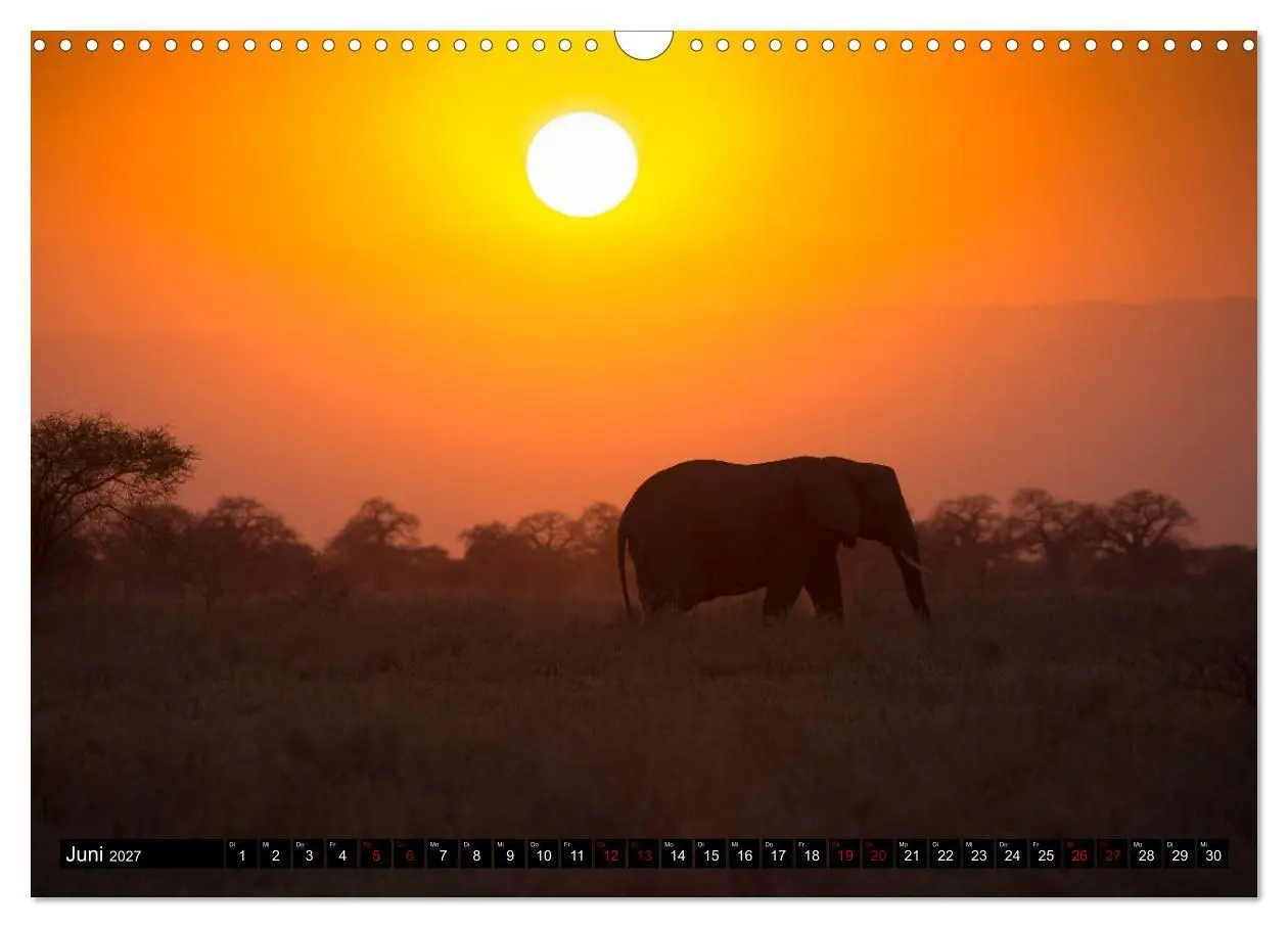 Bild: 9783569766969 | Tansania - Tierwanderung in der Serengeti (Wandkalender 2027 DIN A3...