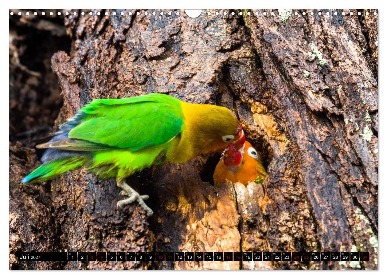 Bild: 9783569766969 | Tansania - Tierwanderung in der Serengeti (Wandkalender 2027 DIN A3...