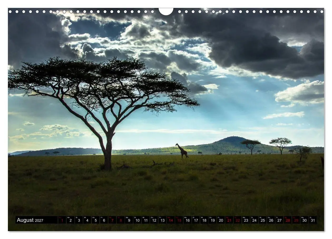 Bild: 9783569766969 | Tansania - Tierwanderung in der Serengeti (Wandkalender 2027 DIN A3...