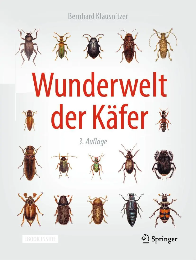 Cover: 9783662586969 | Wunderwelt der Käfer | Bernhard Klausnitzer | Taschenbuch | xvi | 2019