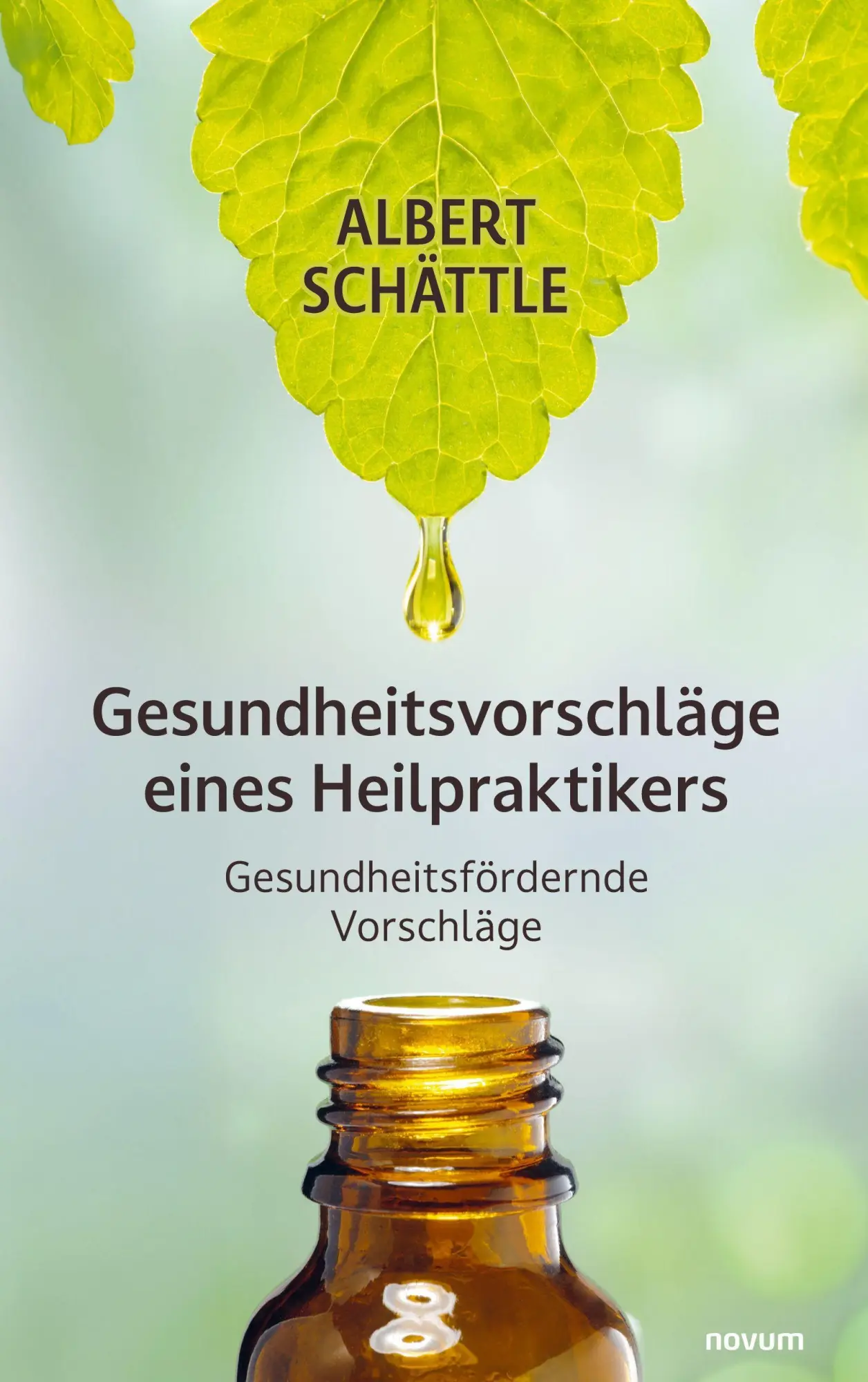Cover: 9783711606969 | Gesundheitsvorschläge eines Heilpraktikers | Albert Schättle | Buch