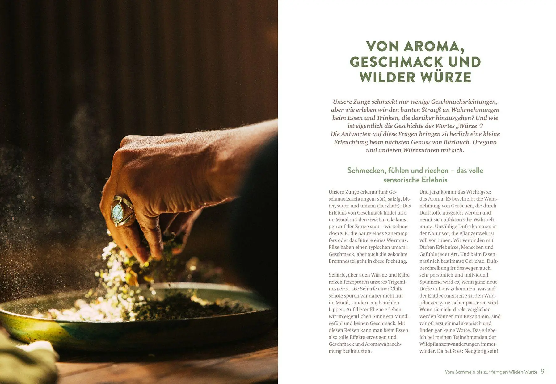 Bild: 9783818626969 | Wilde Würze | Christine Knauft | Taschenbuch | 144 S. | Deutsch | 2026